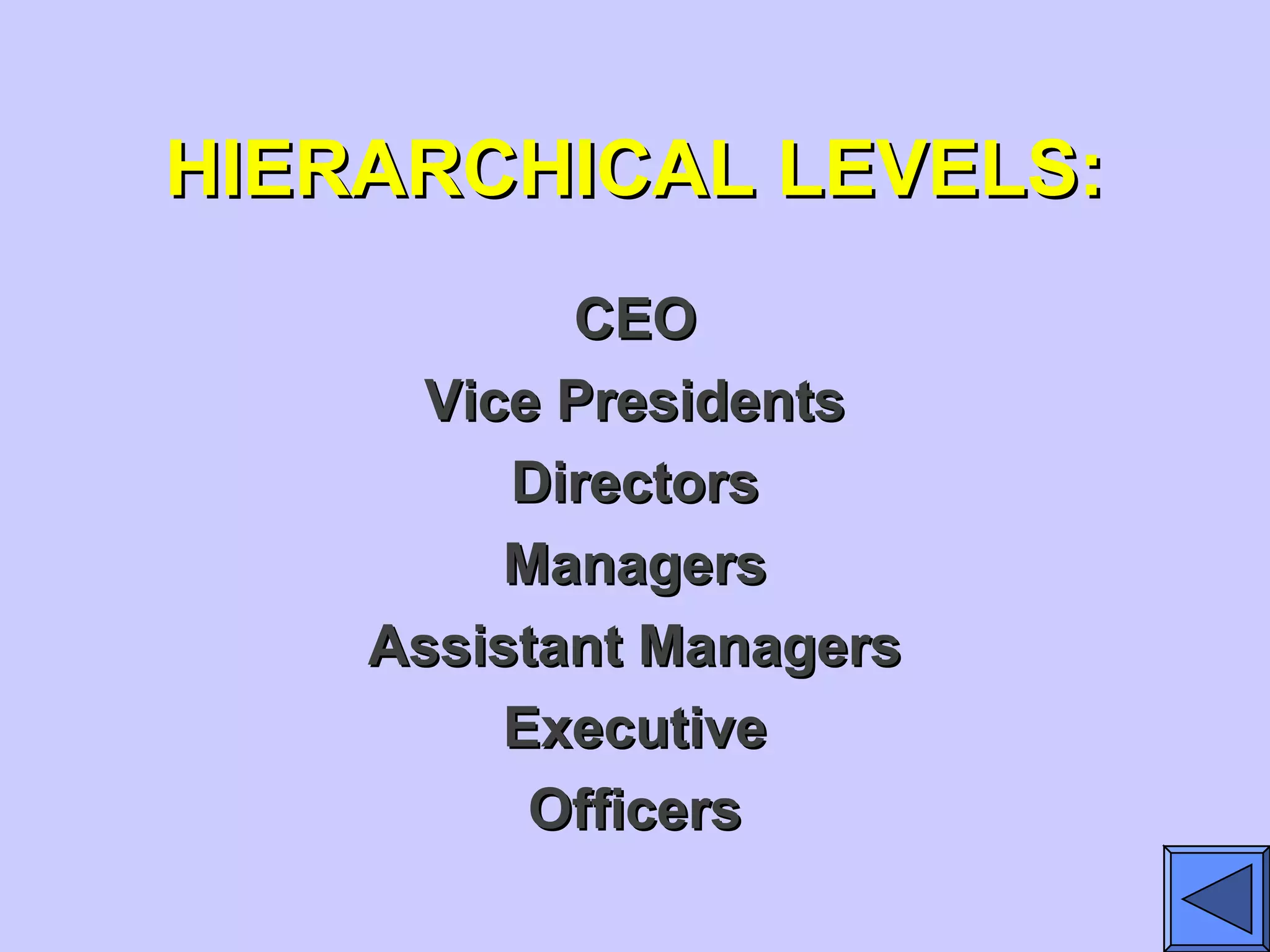 HIERARCHICAL LEVELS:HIERARCHICAL LEVELS:
CEOCEO
Vice PresidentsVice Presidents
DirectorsDirectors
ManagersManagers
Assistant ManagersAssistant Managers
ExecutiveExecutive
OfficersOfficers
 