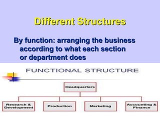 Different StructuresDifferent Structures
By function: arranging the businessBy function: arranging the business
according to what each sectionaccording to what each section
or department doesor department does
 