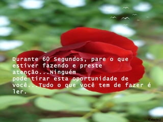 Colacio.j Durante 60 Segundos, pare o que estiver fazendo e preste atenção...Ninguém pode tirar esta oportunidade de você...Tudo o que você tem de fazer é ler. 