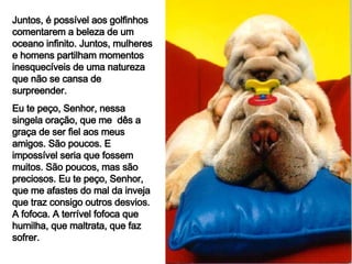 Juntos, é possível aos golfinhos comentarem a beleza de um oceano infinito. Juntos, mulheres e homens partilham momentos inesquecíveis de uma natureza que não se cansa de surpreender. Eu te peço, Senhor, nessa singela oração, que me  dês a graça de ser fiel aos meus amigos. São poucos. E impossível seria que fossem muitos. São poucos, mas são preciosos. Eu te peço, Senhor, que me afastes do mal da inveja que traz consigo outros desvios. A fofoca. A terrível fofoca que humilha, que maltrata, que faz sofrer. 