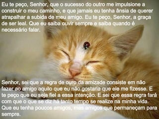 Eu te peço, Senhor, que o sucesso do outro me impulsione a construir o meu caminho, e que jamais eu tenha ânsia de querer atrapalhar a subida de meu amigo. Eu te peço, Senhor, a graça de ser leal. Que eu saiba ouvir sempre e saiba quando é necessário falar. Senhor, sei que a regra de ouro da amizade consiste em não fazer ao amigo aquilo que eu não gostaria que ele me fizesse. E te peço que eu seja fiel a essa intenção. E sei que essa regra fará com que o que se diz há tanto tempo se realize na minha vida. Que eu tenha poucos amigos, mas amigos que permaneçam para sempre.  