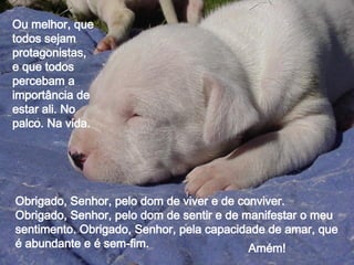 Obrigado, Senhor, pelo dom de viver e de conviver. Obrigado, Senhor, pelo dom de sentir e de manifestar o meu sentimento. Obrigado, Senhor, pela capacidade de amar, que é abundante e é sem-fim. Ou melhor, que todos sejam protagonistas, e que todos percebam a importância de estar ali. No palco. Na vida. Amém! 