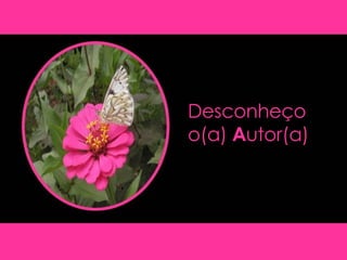 Desconheço o(a)  A utor(a) 