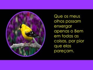 Que os meus olhos possam enxergar apenas o Bem em todas as coisas, por pior que elas pareçam. 