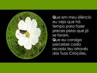 Q ue em meu silêncio eu veja que há tempo para fazer preces pelos que já se foram.  Q ue eu consiga perceber cada recado teu através das Tuas Criações.  