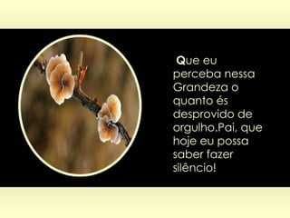   Q ue eu perceba nessa Grandeza o quanto és desprovido de orgulho.Pai, que hoje eu possa saber fazer silêncio! 