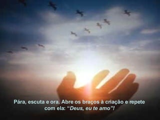 Pára, escuta e ora. Abre os braços à criação e repete  com ela: “ Deus, eu te amo”!   