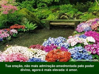 Tua oração, não mais admiração amedrontada pelo poder divino, agora é mais elevada: é amor.  