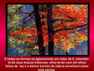 E todas as formas se aglomerarão em redor de ti, estender-te-ão seus braços fraternos, olhar-te-ão com mil olhos feitos de  luz e o eterno sorriso da vida te envolverá como uma carícia.  