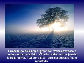 Tomar-te-ão pelo braço, gritando: “Vem, atravessa o limiar e olha o mistério.  Vê: não podes morrer jamais, jamais morrer. Tua dor passa,  com ela sobes e fica o resultado.   