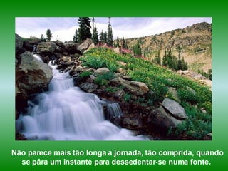 Não parece mais tão longa a jornada, tão comprida, quando se pára um instante para dessedentar-se numa fonte.  