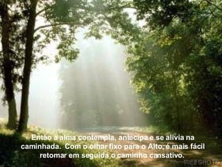 Então a alma contempla, antecipa e se alivia na caminhada.  Com o olhar fixo para o Alto, é mais fácil retomar em seguida o caminho cansativo.   