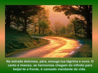Na estrada dolorosa, pára, enxuga tua lágrima e ouve. O canto é imenso, as harmonias chegam do infinito para beijar-te a fronte, ó cansado viandante da vida.  