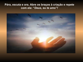 Pára, escuta e ora. Abre os braços à criação e repete  com ela: “ Deus, eu te amo”!   