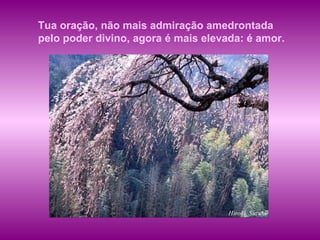Tua oração, não mais admiração amedrontada pelo poder divino, agora é mais elevada: é amor.  