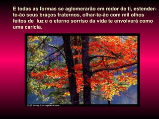E todas as formas se aglomerarão em redor de ti, estender-te-ão seus braços fraternos, olhar-te-ão com mil olhos feitos de  luz e o eterno sorriso da vida te envolverá como uma carícia.  