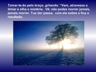 Tomar-te-ão pelo braço, gritando: “Vem, atravessa o limiar e olha o mistério.  Vê: não podes morrer jamais, jamais morrer. Tua dor passa,  com ela sobes e fica o resultado.   