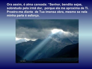 Ora assim, ó alma cansada: “Senhor, bendito sejas, sobretudo pela irmã dor,  porque ela me aproxima de Ti. Prostro-me diante  de Tua imensa obra, mesmo se nela minha parte é esforço.  