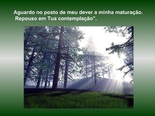 Aguardo no posto de meu dever a minha maturação. Repouso em Tua contemplação”. 
