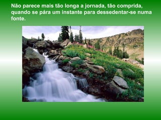 Não parece mais tão longa a jornada, tão comprida, quando se pára um instante para dessedentar-se numa fonte.  