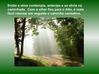 Então a alma contempla, antecipa e se alivia na caminhada.  Com o olhar fixo para o Alto, é mais fácil retomar em seguida o caminho cansativo.   