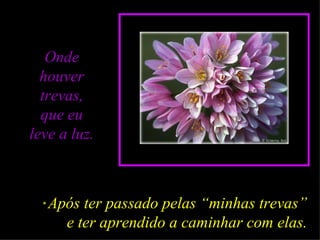 Onde houver trevas, que eu leve a luz. *  Após ter passado pelas “minhas trevas” e ter aprendido a caminhar com elas. 