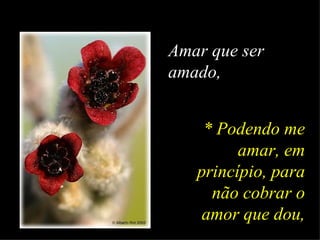 Amar que ser amado,   * Podendo me amar, em princípio, para não cobrar o amor que dou, 