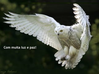 Com muita luz e paz!
 