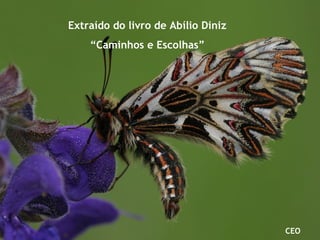 Extraído do livro de Abílio Diniz
“Caminhos e Escolhas”
CEO
 