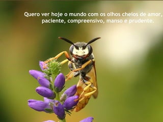 Quero ver hoje o mundo com os olhos cheios de amor,
paciente, compreensivo, manso e prudente.
 