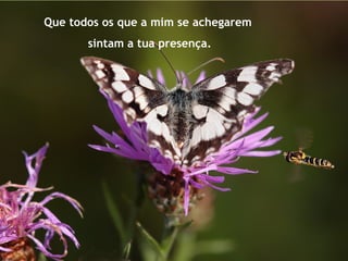 Que todos os que a mim se achegarem
sintam a tua presença.
 