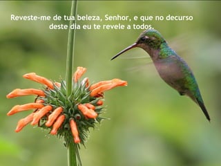 Reveste-me de tua beleza, Senhor, e que no decurso
deste dia eu te revele a todos.
 