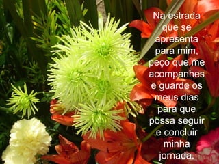 Na estrada
   que se
 apresenta
 para mim,
peço que me
acompanhes
e guarde os
 meus dias
  para que
possa seguir
 e concluir
   minha
  jornada.
 