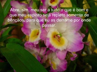 Abre, sim, meu ser a tudo o que é bom e que meu espírito seja repleto somente de bênçãos, para que eu as derrame por onde passar. 
