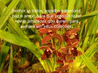 Senhor, a todos, espalha sabedoria, paz e amor, para que possam fazer novas amizades que durem para sempre em seus corações. 