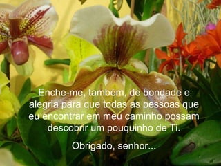 Enche-me, também, de bondade e alegria para que todas as pessoas que eu encontrar em meu caminho possam descobrir um pouquinho de Ti. Obrigado, senhor... 