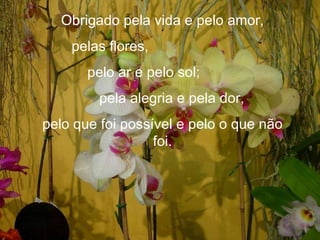Obrigado pela vida e pelo amor, pelas flores, pelo ar e pelo sol; pela alegria e pela dor, pelo que foi possível e pelo o que não foi. 