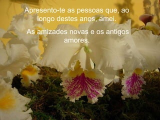 Apresento-te as pessoas que, ao longo destes anos, amei. As amizades novas e os antigos amores. 