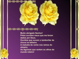 Muito obrigado Senhor! Pelos ouvidos meus que me foram dados por Deus. Ouvidos que ouvem o tamborilar da chuva no telheiro A melodia do vento nos ramos do olmeiro As lágrimas que vertem os olhos do mundo inteiro! 