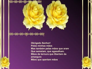 Obrigado Senhor! Pelas minhas mãos Mas também pelas mãos que aram Que semeiam, que agasalham. Mãos de ternura que libertam da amargura Mãos que apertam mãos 
