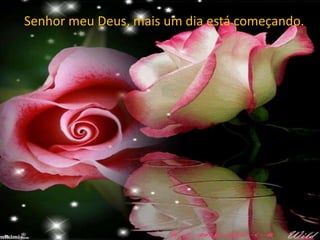 Senhor meu Deus, mais um dia está começando.