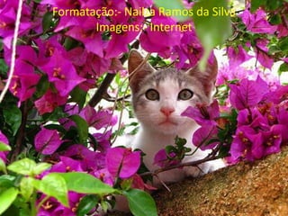 Formatação:- Nailza Ramos da Silva
       Imagens:- Internet
 
