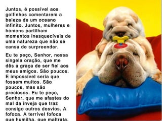 Juntos, é possível aos golfinhos comentarem a beleza de um oceano infinito. Juntos, mulheres e homens partilham momentos inesquecíveis de uma natureza que não se cansa de surpreender. Eu te peço, Senhor, nessa singela oração, que me  dês a graça de ser fiel aos meus amigos. São poucos. E impossível seria que fossem muitos. São poucos, mas são preciosos. Eu te peço, Senhor, que me afastes do mal da inveja que traz consigo outros desvios. A fofoca. A terrível fofoca que humilha, que maltrata, que faz sofrer. 