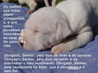Obrigado, Senhor, pelo dom de viver e de conviver. Obrigado, Senhor, pelo dom de sentir e de manifestar o meu sentimento. Obrigado, Senhor, pela capacidade de amar, que é abundante e é sem-fim. Ou melhor, que todos sejam protagonistas, e que todos percebam a importância de estar ali. No palco. Na vida. Amém! 