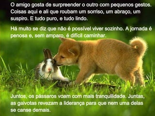 O amigo gosta de surpreender o outro com pequenos gestos. Coisas aqui e ali que roubam um sorriso, um abraço, um suspiro. E tudo puro, e tudo lindo. Há muito se diz que não é possível viver sozinho. A jornada é penosa e, sem amparo, é difícil caminhar. Juntos, os pássaros voam com mais tranquilidade. Juntas, as gaivotas revezam a liderança para que nem uma delas se canse demais.  