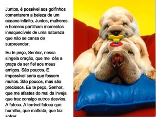 Juntos, é possível aos golfinhos comentarem a beleza de um oceano infinito. Juntos, mulheres e homens partilham momentos inesquecíveis de uma natureza que não se cansa de surpreender. Eu te peço, Senhor, nessa singela oração, que me  dês a graça de ser fiel aos meus amigos. São poucos. E impossível seria que fossem muitos. São poucos, mas são preciosos. Eu te peço, Senhor, que me afastes do mal da inveja que traz consigo outros desvios. A fofoca. A terrível fofoca que humilha, que maltrata, que faz sofrer. 