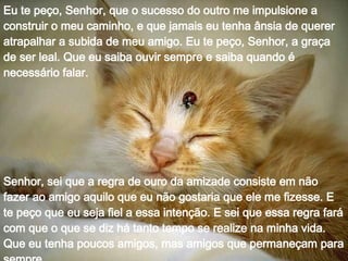 Eu te peço, Senhor, que o sucesso do outro me impulsione a construir o meu caminho, e que jamais eu tenha ânsia de querer atrapalhar a subida de meu amigo. Eu te peço, Senhor, a graça de ser leal. Que eu saiba ouvir sempre e saiba quando é necessário falar. Senhor, sei que a regra de ouro da amizade consiste em não fazer ao amigo aquilo que eu não gostaria que ele me fizesse. E te peço que eu seja fiel a essa intenção. E sei que essa regra fará com que o que se diz há tanto tempo se realize na minha vida. Que eu tenha poucos amigos, mas amigos que permaneçam para sempre.  