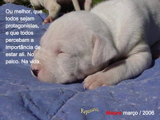 Mauro  março / 2006 Ou melhor, que todos sejam protagonistas, e que todos percebam a importância de estar ali. No palco. Na vida. 