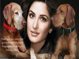 Esses não são como nós 
que bem entendemos a 
linguagem estranha e 
bela do amor; 
 