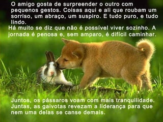 O amigo gosta de surpreender o outro com
pequenos gestos. Coisas aqui e ali que roubam um
sorriso, um abraço, um suspiro. E tudo puro, e tudo
lindo.
Há muito se diz que não é possível viver sozinho. A
jornada é penosa e, sem amparo, é difícil caminhar.

Juntos, os pássaros voam com mais tranquilidade.
Juntas, as gaivotas revezam a liderança para que
nem uma delas se canse demais.

 